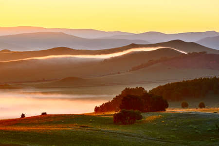 Summer prairie scenery.の写真素材