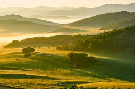 Summer prairie scenery.
