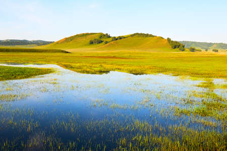 The sunrise on the grassland.の写真素材