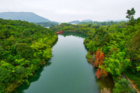 Tea valleys landscapeの写真素材