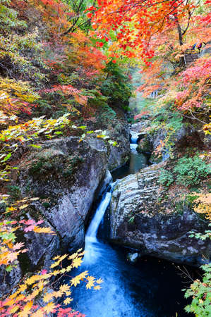 The waterfall in the autumn valleyの写真素材