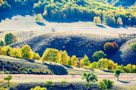 The Bashong plateau landscape