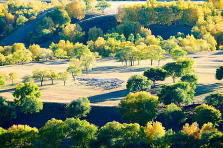 The Bashong plateau landscapeの写真素材