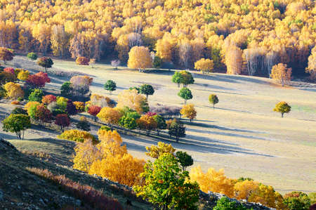 Autumn landscape scenery view of Bashang plateau