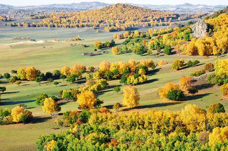 Autumn landscape scenery view of Bashang plateauの写真素材
