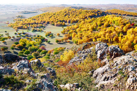 Autumn landscape scenery view of Bashang plateau