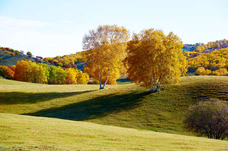 Autumn landscape scenery view of Bashang plateauの写真素材