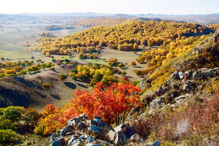 Autumn landscape scenery view of Bashang plateauの写真素材