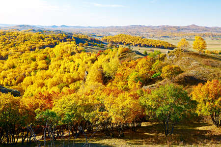 Autumn landscape scenery view of Bashang plateauの写真素材