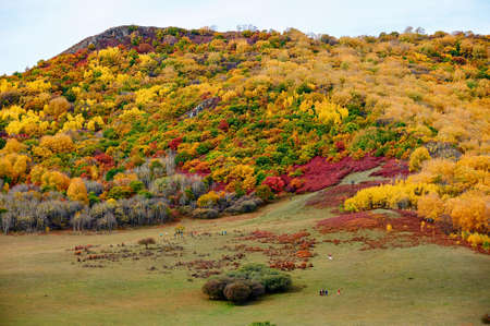 Ther autumn colorful mountains scenicの写真素材