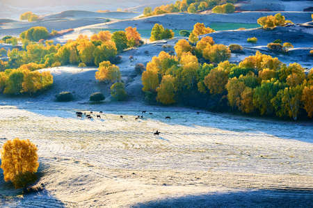 The autumn steppe sunrise landscape view