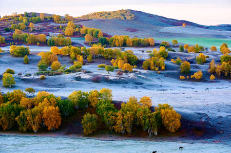 The autumn steppe sunrise landscape viewの写真素材