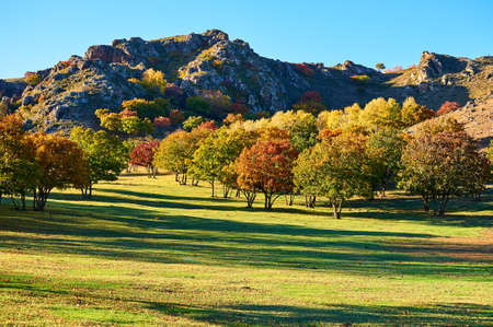 Autumn steppe sun setting.の写真素材