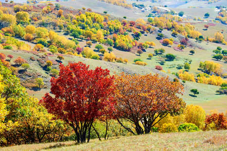 The autumn steppe landscape.