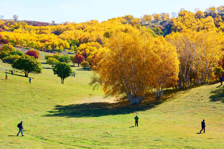 The tourists on the autumn steppe.のeditorial素材