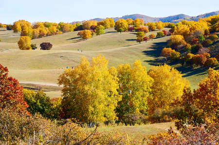 The autumn steppe landscape.