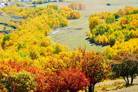 The autumn steppe landscape.