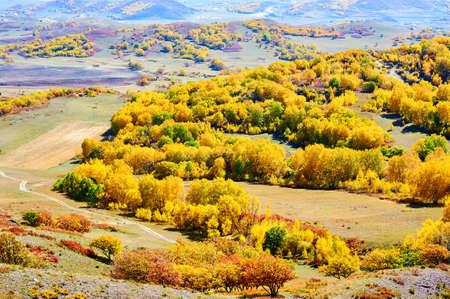 The autumn steppe landscape.の写真素材