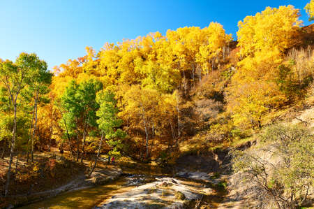 The autumn landscape.
