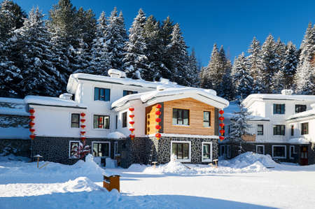 The rounded pure white snow scenic.のeditorial素材