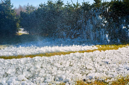 The spraying water frozen in the park.