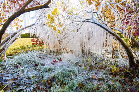The spraying water frozen in the park.の写真素材