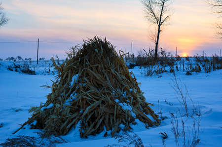 The countryside sunset landscape.の写真素材