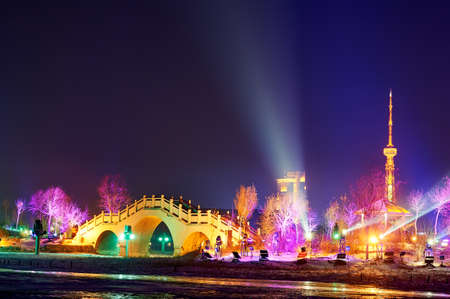 The holiday music lighting show in the park.のeditorial素材