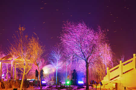 The holiday music lighting show in the park.のeditorial素材