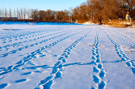 The footprint on the snow fields.の写真素材