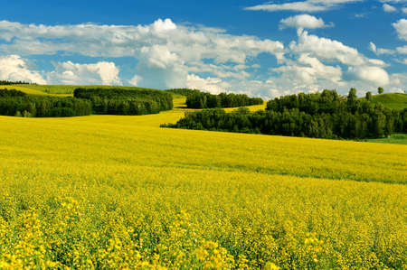 Hulunbuir grasslands of inner Mongolia.の写真素材