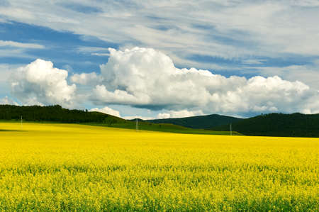 Hulunbuir grasslands of inner Mongolia.