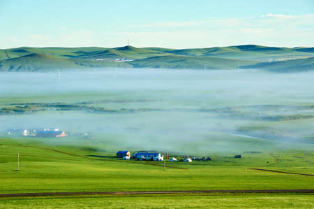 The mongolian yurts in summer grassland  .