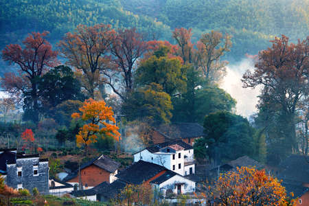he morning fog on the dwellings of Anhui buildings in Wuyuan county Jiangxi province, China.の写真素材