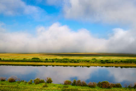 the Hulunbuir Prairie in China's Inner Mongolia Autonomous Region ushered in the most beautiful season. Near Shiwei, a small town on the Sino-Russian border, green grass and wild flowers are in full bloom.の写真素材