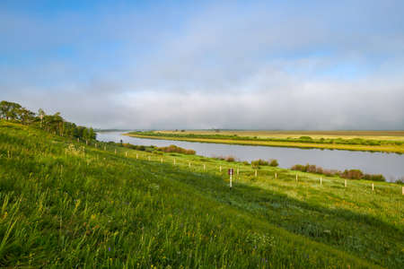 the Hulunbuir Prairie in China's Inner Mongolia Autonomous Region ushered in the most beautiful season. Near Shiwei, a small town on the Sino-Russian border, green grass and wild flowers are in full bloom.の写真素材