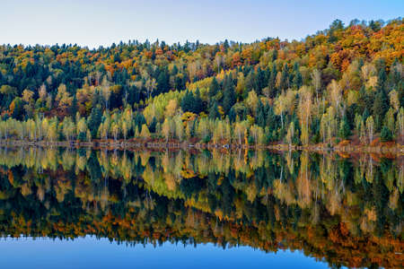 Autumn in Xiaoxinganling. Yichun City, Heilongjiang Province, located in the Xiaoxing'an Mountains, is a famous forest capital with extremely high forest coverage.の写真素材