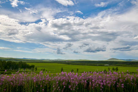 Hulunbuir prairie in summer. The Sino-Russian border line from Shiwei Port to Manzhouli is...