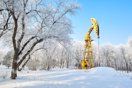 The urban forest park of Daqing Oilfield has a magnificent and beautiful rime landscape.の写真素材