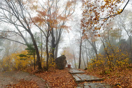 During the National Day in 2020, Jinlong Mountain National Forest Park in Harbin City, Heilongjiang Province, ushered in the beautiful scenery full of forest.の写真素材