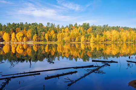 Autumn scenery of Wuying National Forest Park in Yichun, China.の写真素材