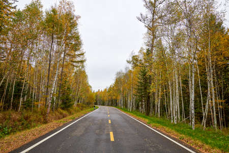 Autumn scenery of Wuying National Forest Park in Yichun, China.の写真素材