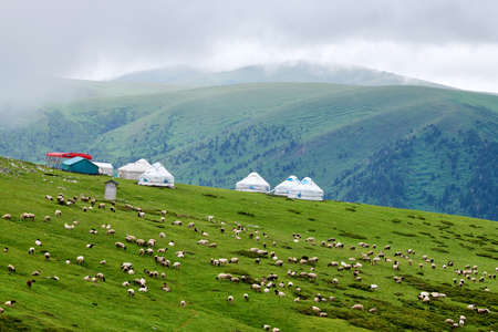 Xinjiang Bayinbuluke Grassland Ranchの写真素材