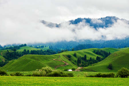 Morning fog in the grasslands of the Nalati River Valley, Xinjiangの写真素材