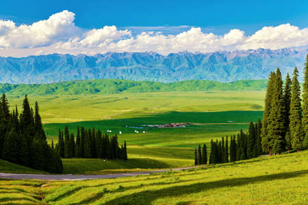 Xinjiang Nala raises the mountain and grassland sceneryの写真素材