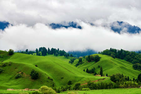 Morning fog in the grasslands of the Nalati River Valley, Xinjiangの写真素材