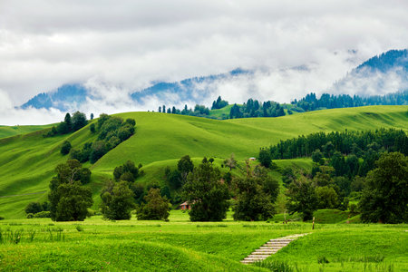 Morning fog in the grasslands of the Nalati River Valley, Xinjiangの写真素材