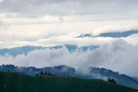 Morning fog in the grasslands of the Nalati River Valley, Xinjiangの写真素材