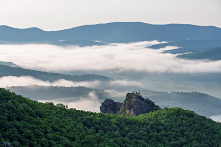 Foggy morning in the mountains. Mountain landscape with fog.の写真素材