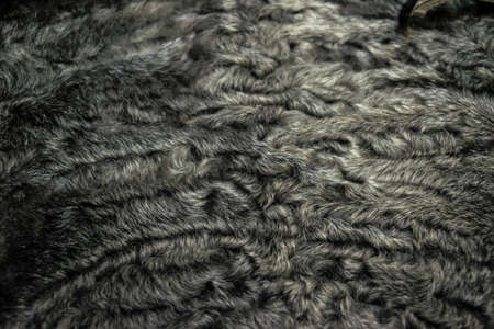 The fur is black karakul lambskin texture  backgroundの写真素材